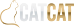 CatCat เว็บตรง มั่นคงทุกการเดิมพัน สนุกได้ไม่มีสะดุด